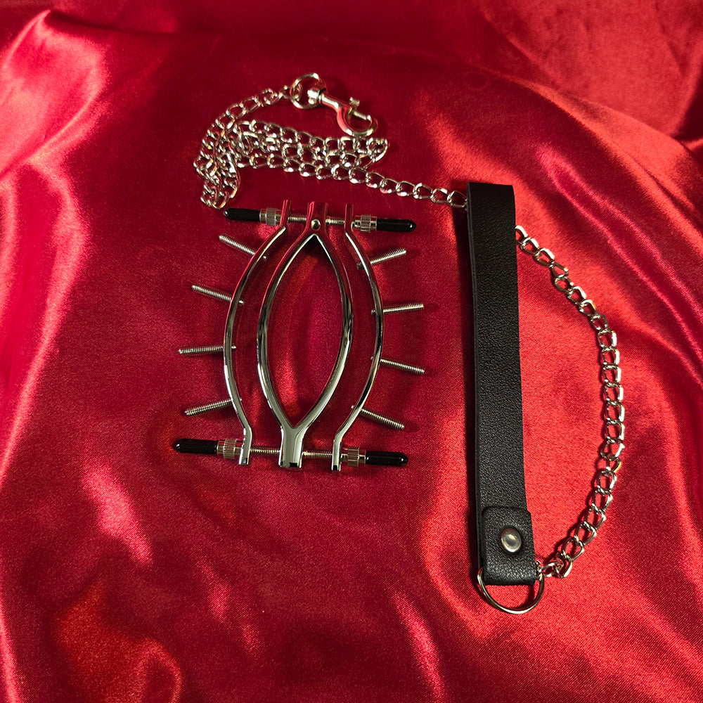Blygdläppsklämma med skruvar och metall kedja för avancerat BDSM Genital tortyr - FGT  från Chambers of Love
