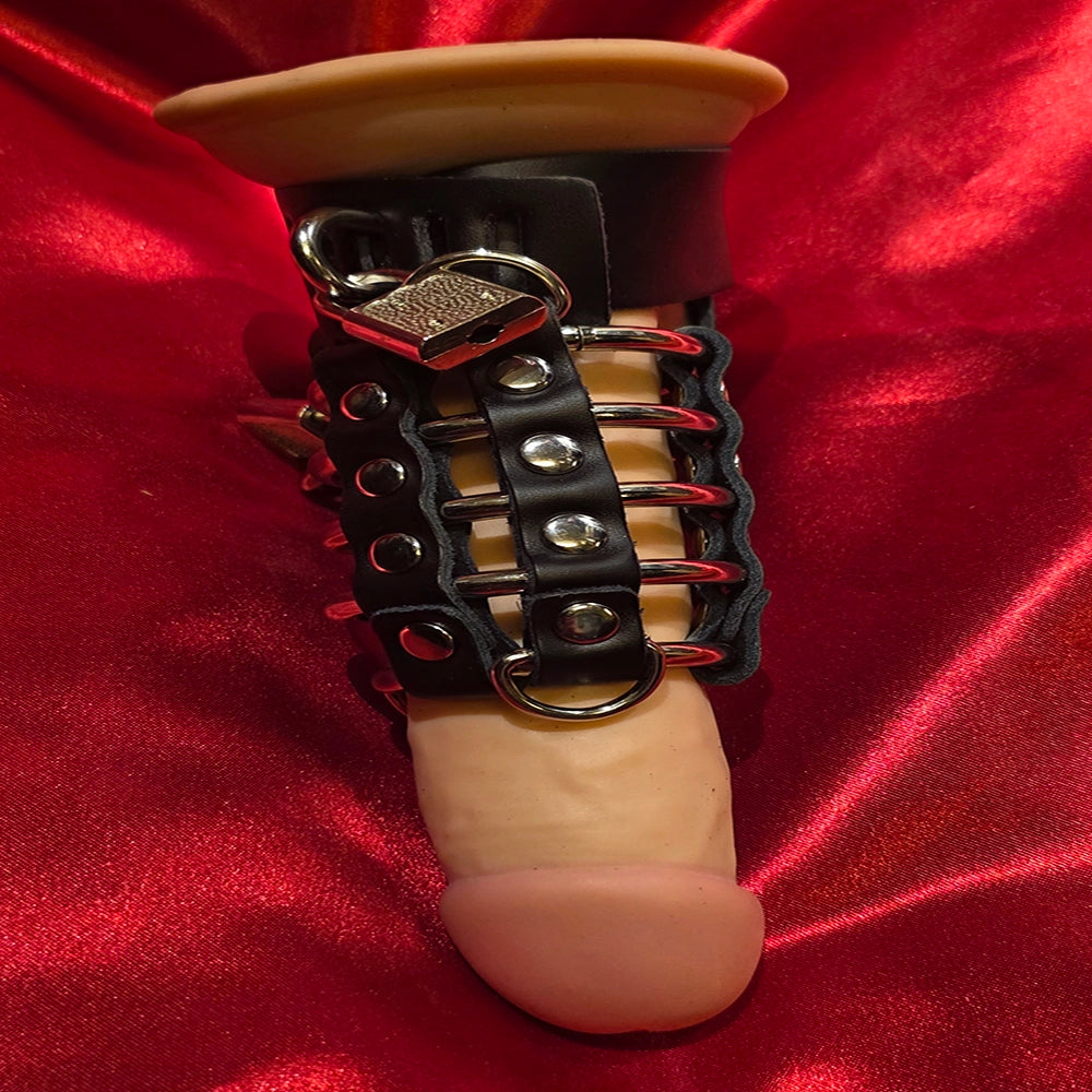 Gates of Hell 5 penis ring – 5 metall ringar med D-ring och hänglås – CBT BDSM från Chambers of Love