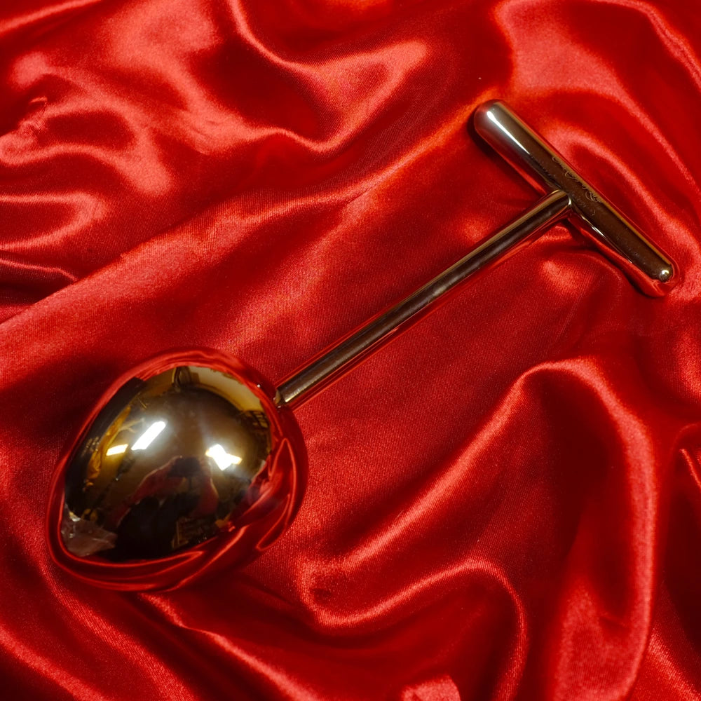 Analplugg Metallplugg med T-handtag – rostfritt stål 50 mm diameter, Chambers of Love