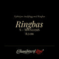 Nybörjar vänlig analplugg med ring storlek S från Chambers of Love 