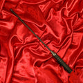 BDSM Extreme Electro Cane