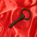 Ribbed Dilator with Ring Open