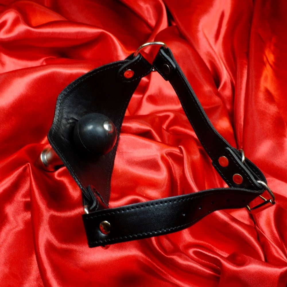 Vac-U-Lock Mun Gag insida med avtagbar silikonboll justerbara läderremmar och spännen på röd satinbakgrund från Chambers of Love